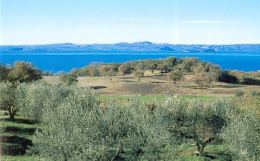 Bolsena - Panorama del Lago