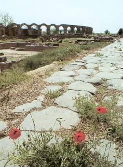 Viterbo - La Cassia e il Teatro di Ferento