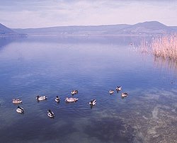 Lago di Vico